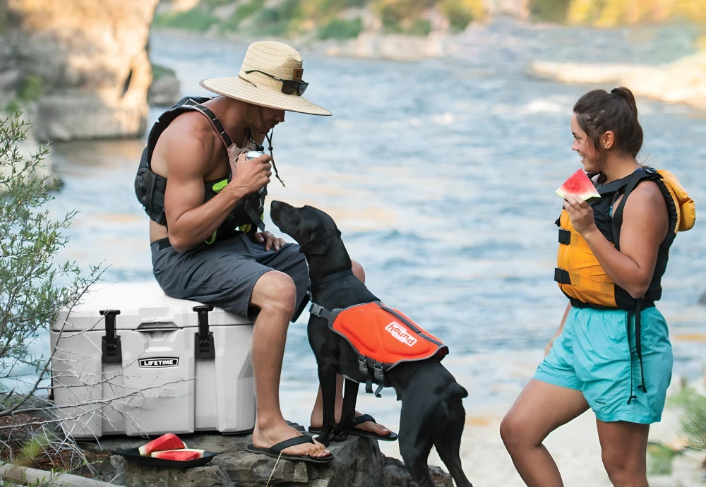 portable food cooler box