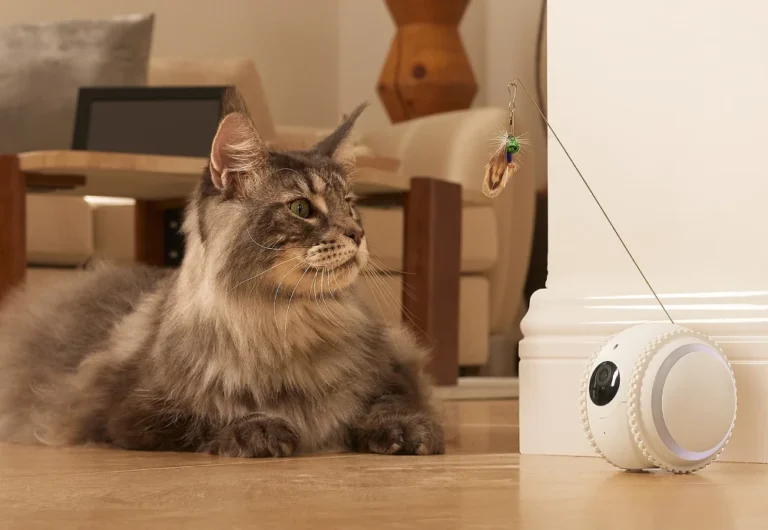 smart 4k movable pet camera 02