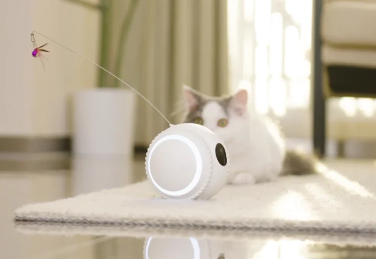 smart 4k movable pet camera 08