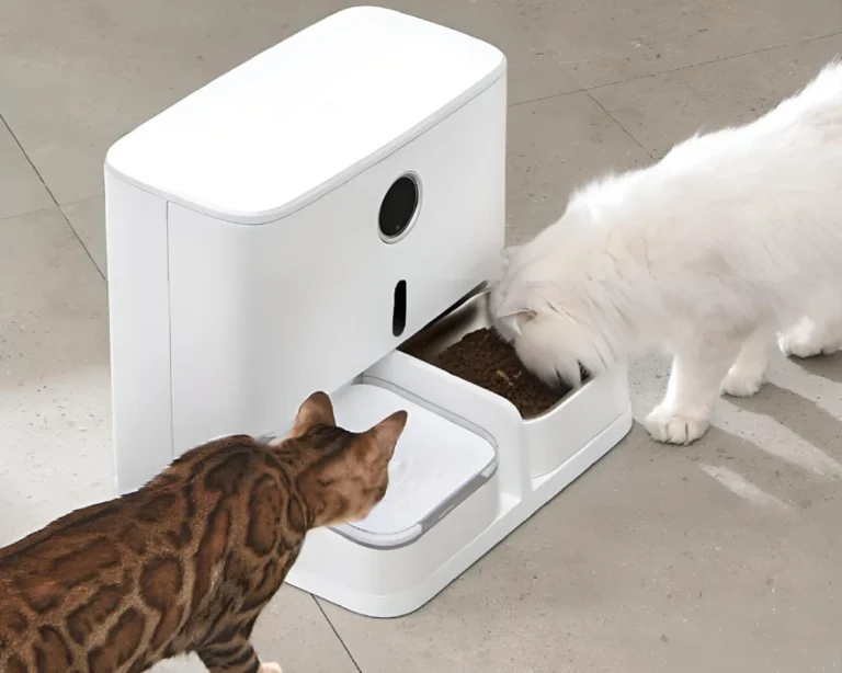 smart automatic pet feeder 02