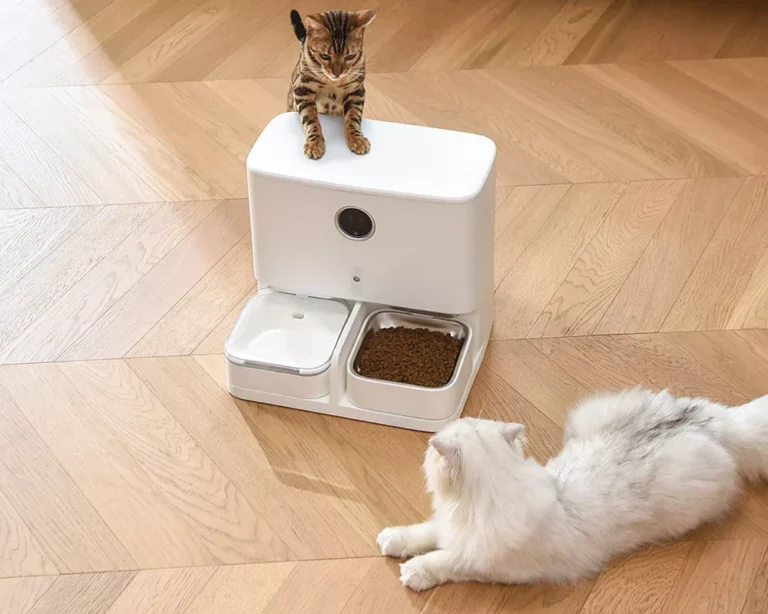 smart automatic pet feeder 04