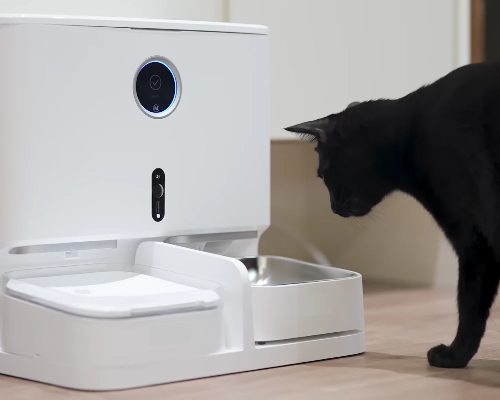 pet automatic food dispenser